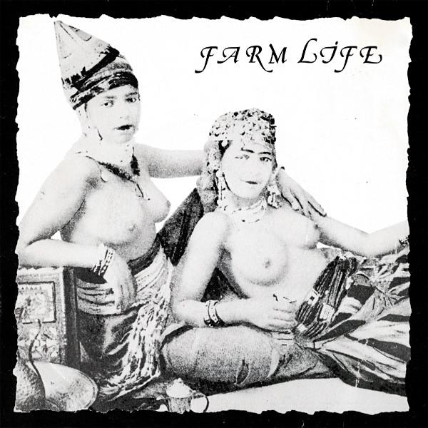 Farm Life - Susie's Party