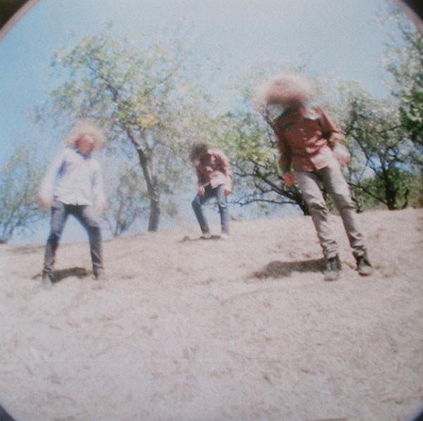 Fuzz  - Sunderberry Dream