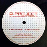 Q Project - Faith In Chaos / Sex In The City