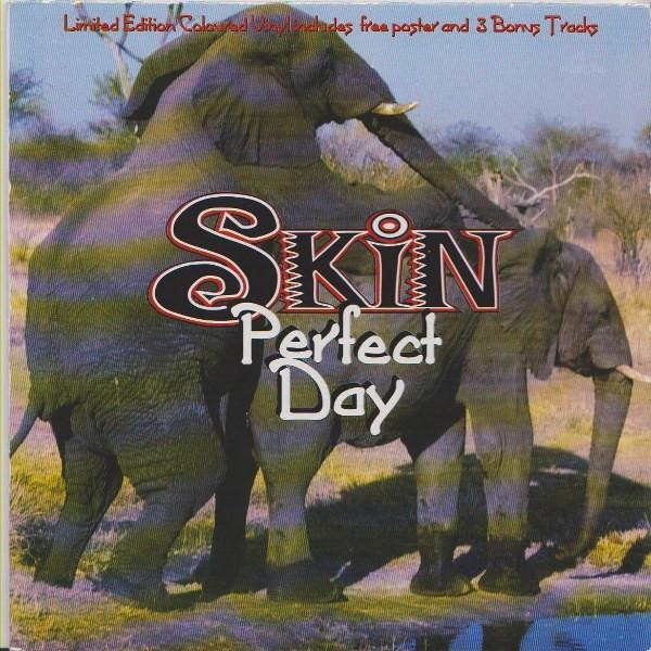 Skin  - Perfect Day