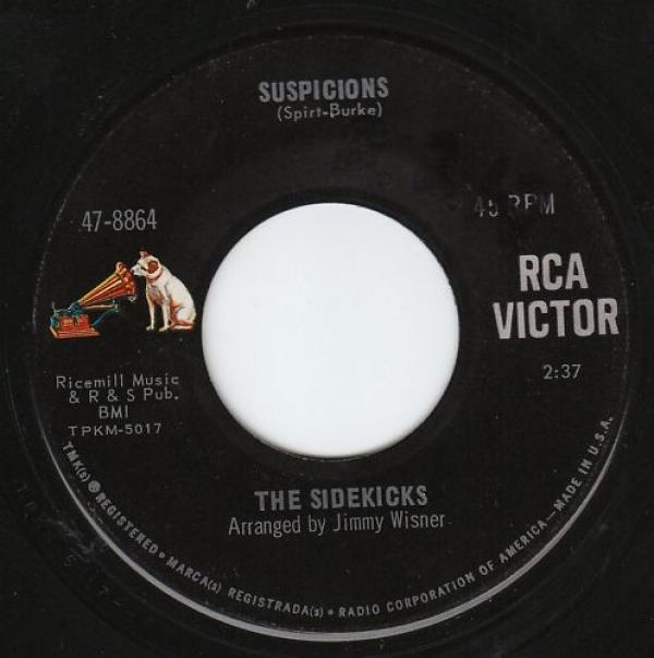 The Sidekicks  - Suspicions