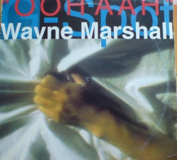 Wayne Marshall  - G Spot (Ooh Aah)